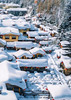 【冬日北国】冰城哈尔滨+中国童话雪乡+亚布力滑雪 品质6日游 商品缩略图1