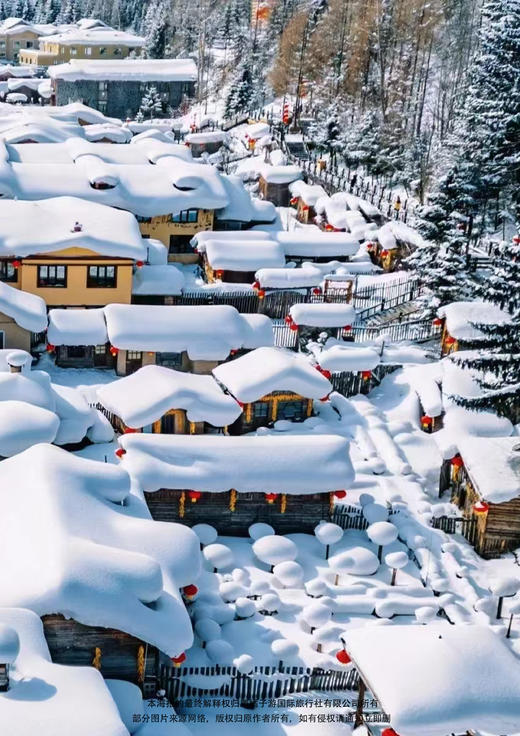 【冬日北国】冰城哈尔滨+中国童话雪乡+亚布力滑雪 品质6日游 商品图1