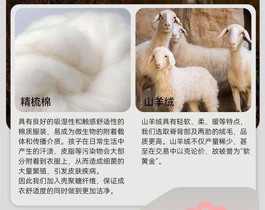 HeyBetter壳聚糖拼色套头衫CMY05/CMY06 商品图5