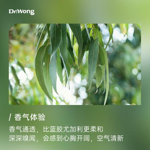 澳洲尤加利 单方精油  商品图3
