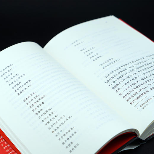 洛尔迦 被诅咒的诗人 文学传记 弗朗西斯科·翁布拉尔 编著 南京大学出版社 ND 商品图1