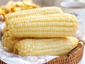 拍10根加送1根！【新疆阿勒泰鲜食白糯玉米🌽】阿勒泰产地直发！来自新疆戈壁滩的“带有太阳味道的鲜玉米”撕掉塑料袋，水开后蒸20分钟！