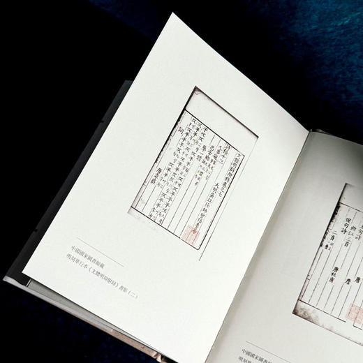 文体明辩 诗馀 国学研究 词谱 [明]徐师曾 十四五国家重点图书 商品图6