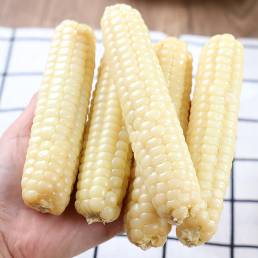 【拇指玉米】云南西双版纳拇指玉米 整箱发货 加热即食 商品图9