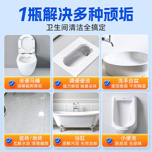 蔬果园阳光松木剂洁厕500g 商品图6