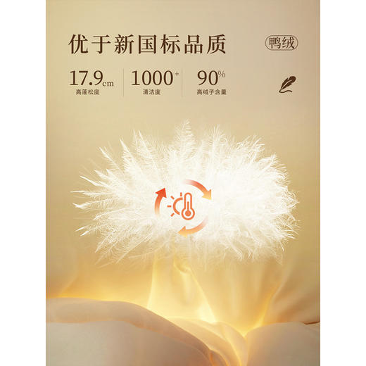 【年终特卖】熙世界收腰短款羽绒服女2025冬季新款防风立领连帽保暖白鸭绒外套 商品图3