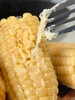 拍10根加送1根！【新疆阿勒泰鲜食白糯玉米🌽】阿勒泰产地直发！来自新疆戈壁滩的“带有太阳味道的鲜玉米”撕掉塑料袋，水开后蒸20分钟！ 商品缩略图2