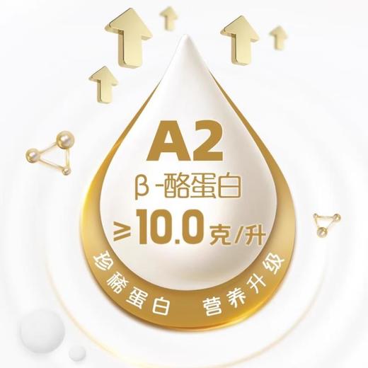君乐宝悦鲜活A2鲜牛奶 260ml 商品图2