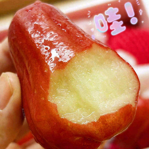 4-5A 泰国莲雾  一盒约5斤 含水量高 清甜生津 减肥水果 商品图1