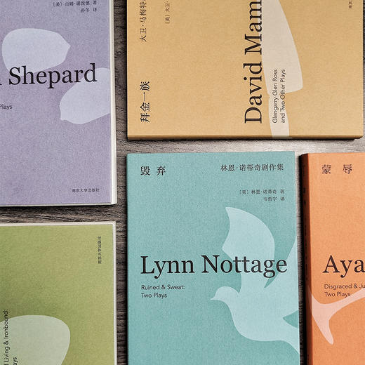 普利策戏剧奖获奖剧作家作品集 拜金一族 蒙辱 生之代价 毁弃 被埋葬的孩子 任选  南京大学出版社 守望者 戏剧 ND 商品图4