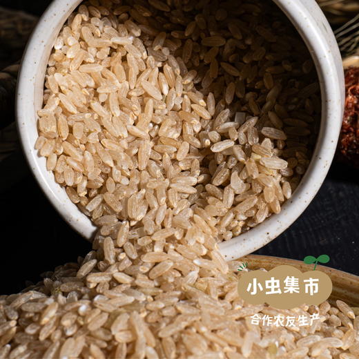 【2025年秋收新米】生态胚芽米 500g/袋*2 | 合作农友生产，产自黑龙江牡丹江，生产者是：韩丽、李明攀 *【公平贸易农人定价】 商品图2