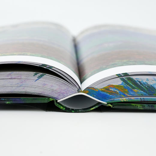 《莫奈:伟大的追光者》(刷边版) 商品图6