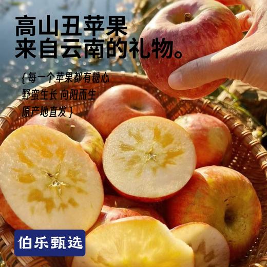 甄选 · 来自云南高山的丑苹果 商品图0