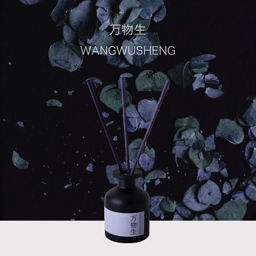 【120元会员福利】挚物志 长安未央系列无火香薰85ml   商品图3