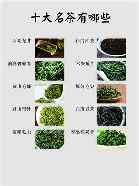 快速了解中国十大名茶