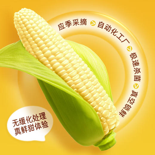 失重密码  黄糯玉米棒  260g*6根装 商品图2