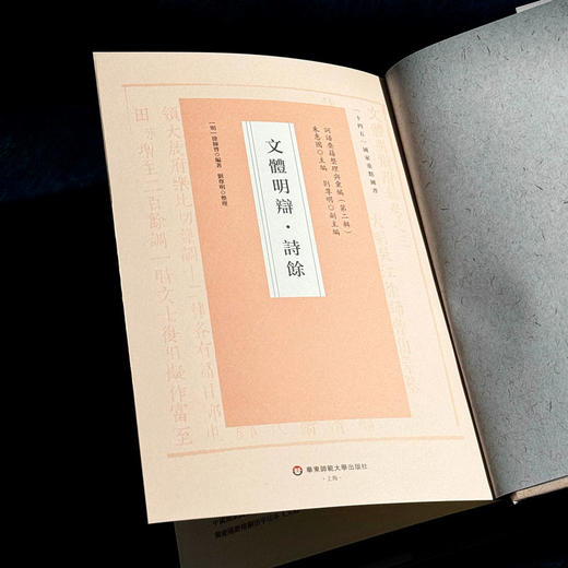 文体明辩 诗馀 国学研究 词谱 [明]徐师曾 十四五国家重点图书 商品图5