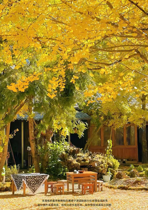 【秋韵腾冲】 双飞双动6日游（派全陪） 商品图2