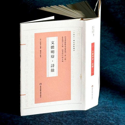 文体明辩 诗馀 国学研究 词谱 [明]徐师曾 十四五国家重点图书 商品图4
