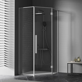 帝王洁具淋浴房干湿分离隔断家用整体洗澡间防水玻璃门钻石型SH914