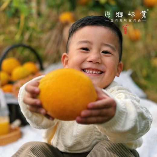 生态赣南脐橙（基地直发-京东包邮）| 5斤装，9斤装，19斤装，来自江西赣州，生产者：喻生胜【合作生产，公平贸易】 商品图7