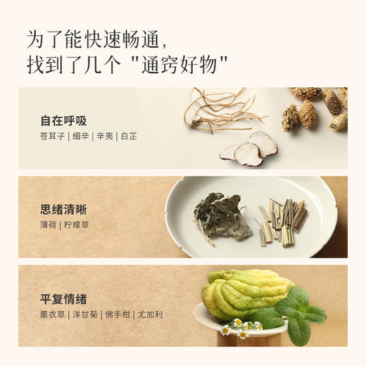 【苍耳轻轻通】一“嗅”就通｜畅快呼吸｜草本精油 商品图2