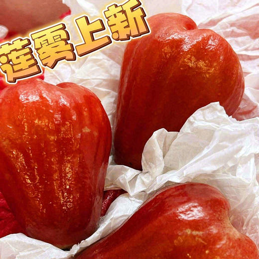 4-5A 泰国莲雾  一盒约5斤 含水量高 清甜生津 减肥水果 商品图2