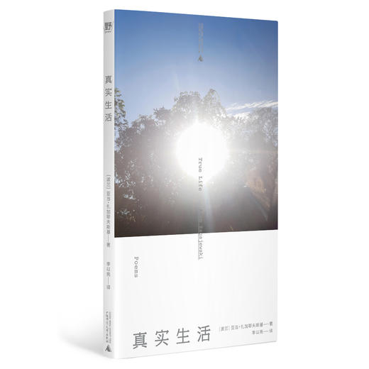 真实生活  （波兰）亚当·扎加耶夫斯基/著 【北贝】 商品图1