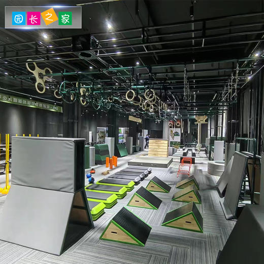 体能训练器材蝴蝶抓手 商品图3