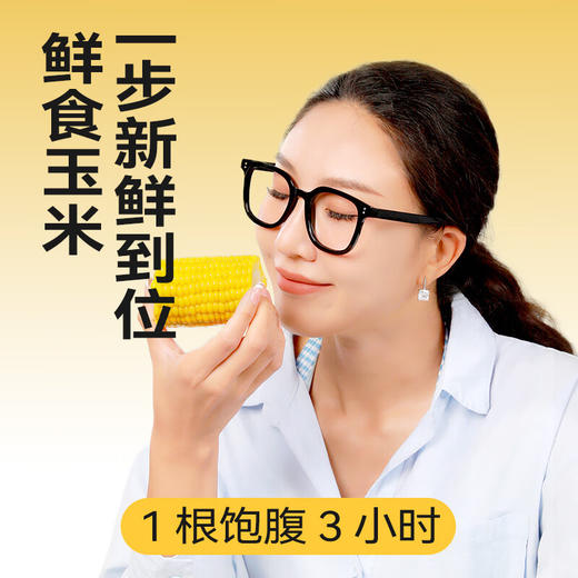 失重密码  "纤”炖主义即食早餐（雪梨百合）1728g 商品图1