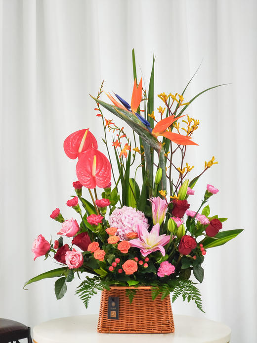 福财满门 商品图0