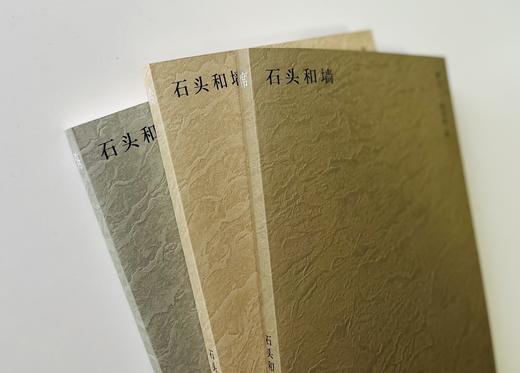 【可选签名钤印/毛边签名钤印】纯粹·  石头和墙(全3卷)   陈传席/著 商品图5