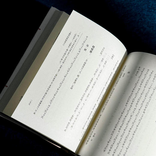 文体明辩 诗馀 国学研究 词谱 [明]徐师曾 十四五国家重点图书 商品图12