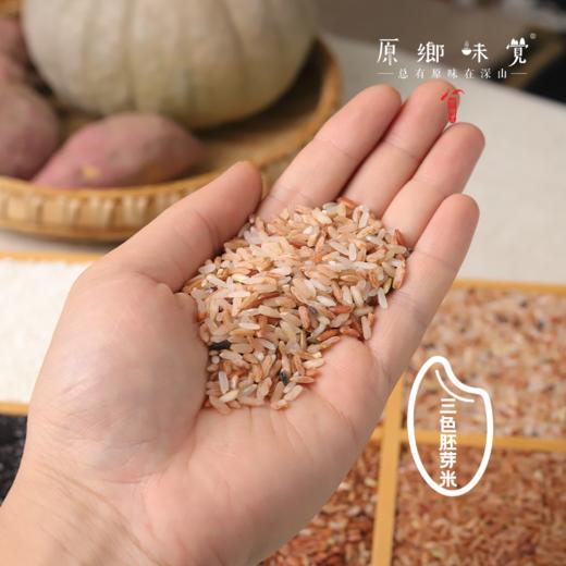 生态梯田古稻三色糙米/胚芽米/红糙米/红胚芽米/黑米/糯米（基地直发-顺丰包邮）| 2斤装，5斤装，来自贵州贵阳，生产者：杨婧懿【合作生产，公平贸易】 商品图4