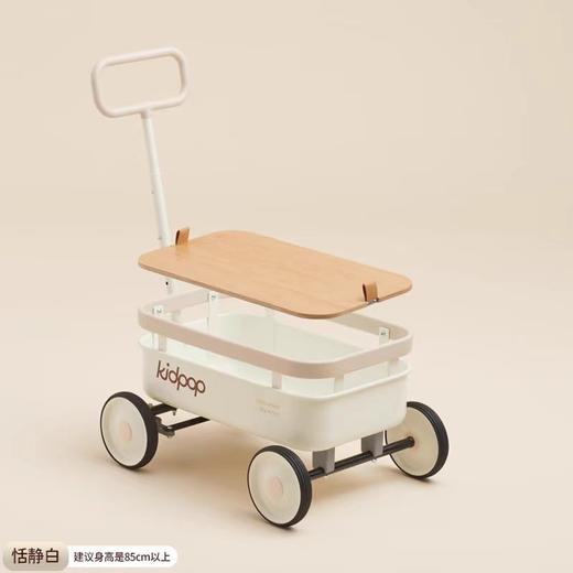 (包邮)KIDPOP pula-小野推拉车（四种颜色） 商品图2