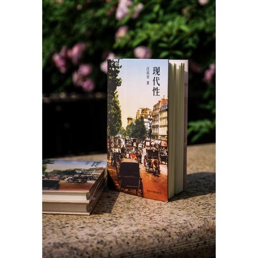 正版图书 现代性 汪民安 著 南京大学出版社 ND 商品图2