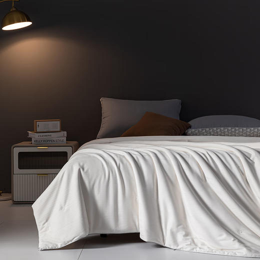 无印良品全棉贡缎A类100%蚕丝被MJ-B2024-0176 商品图0