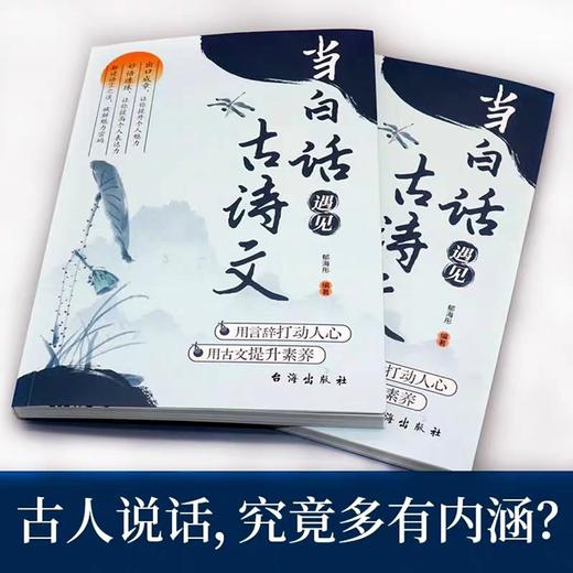 【抖音同款】当白话文遇见古诗文正版书籍 藏在古诗文里的夸人宝典 商品图2