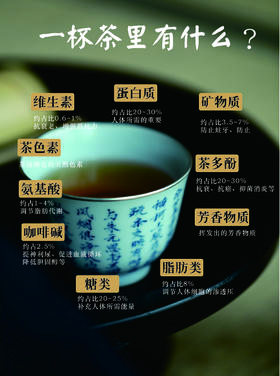 一杯茶里到底有什么？