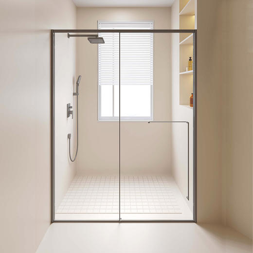 帝王洁具一字型整体淋浴房家用卫生间厕所隔断洗澡淋浴黑玻璃移门SH908 商品图0