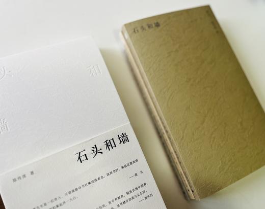 【可选签名钤印/毛边签名钤印】纯粹·  石头和墙(全3卷)   陈传席/著 商品图6