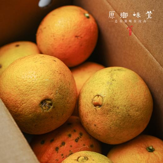 生态赣南脐橙（基地直发-京东包邮）| 5斤装，9斤装，19斤装，来自江西赣州，生产者：喻生胜【合作生产，公平贸易】 商品图2