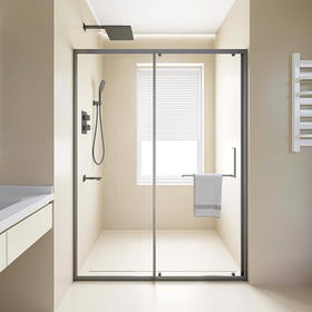 帝王洁具整体淋浴房浴室干湿分离隔断玻璃门一字不锈钢SH911
