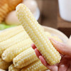 【拇指玉米】云南西双版纳拇指玉米 整箱发货 加热即食 商品缩略图0