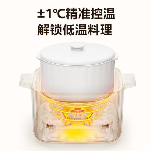 美的（Midea）电炖锅_DZC2501【一锅五胆+配蒸笼】 商品图6