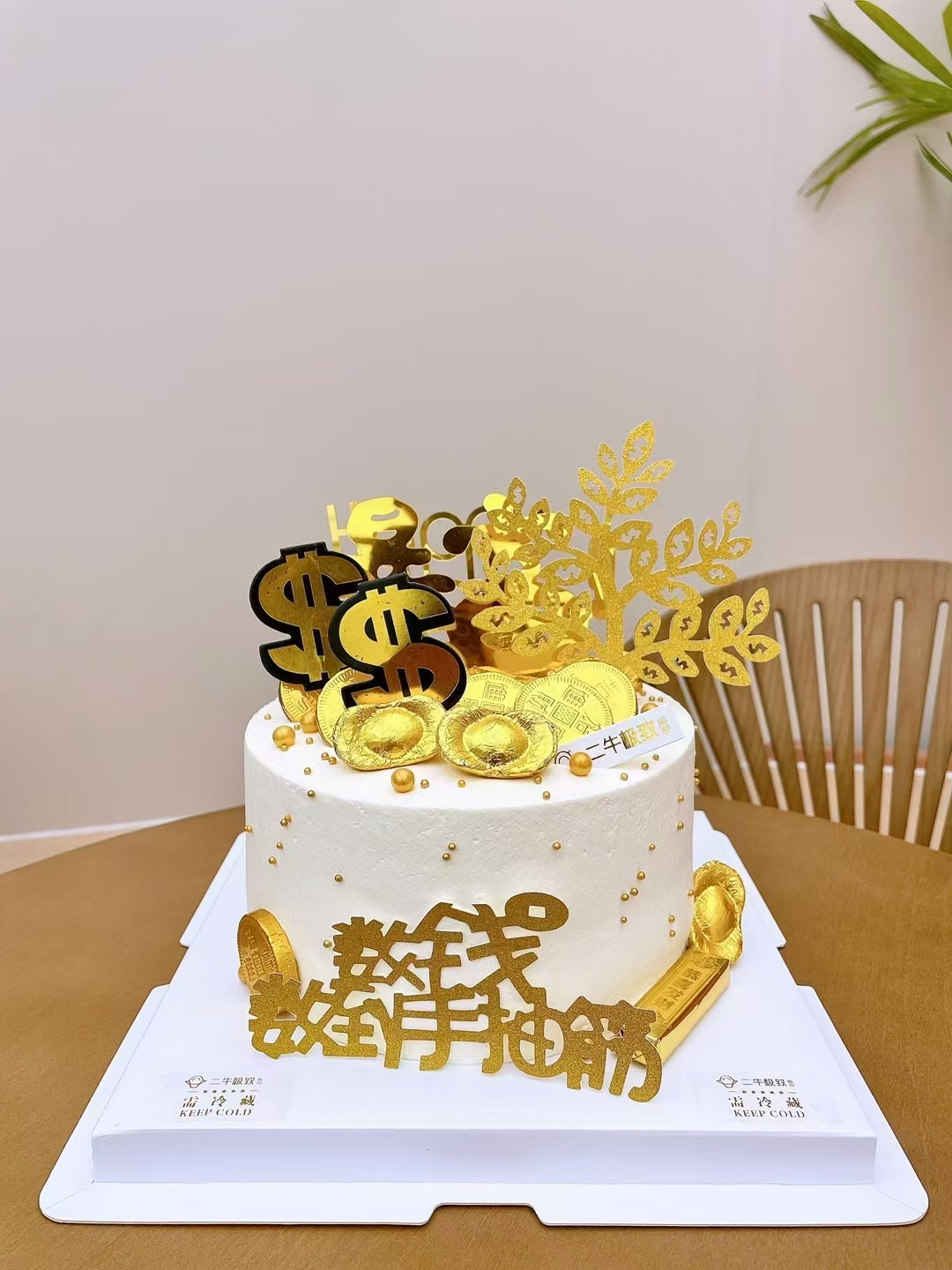 男神定制 发财树