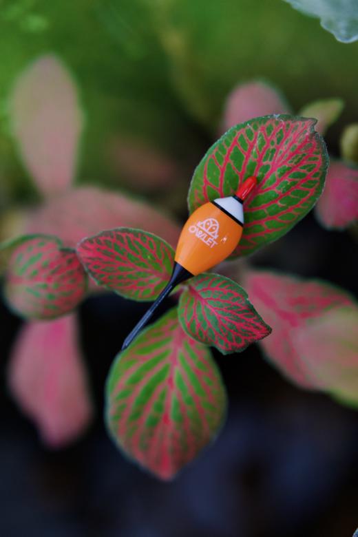 OWLET小猫头鹰 x PWS鹈鹕钓 联名款 小物钓浮漂 商品图6