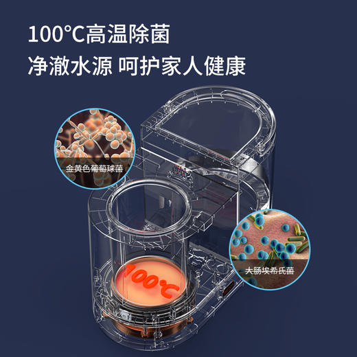 【百斯腾热雾加湿器】热蒸发家用静桌面孕妇婴儿净化器大容量卧室办公室 商品图1