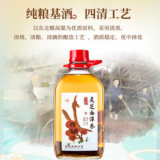 【特色浸泡】2.3L40度劲牌灵芝西洋参酒 商品图5