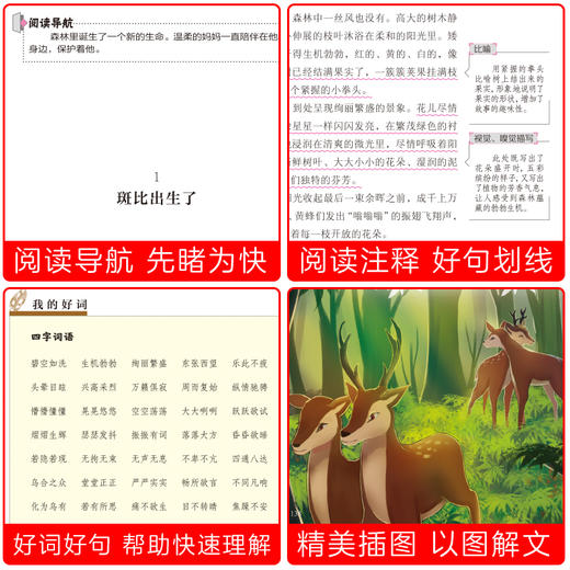 小鹿斑比-世界文学名著拓展阅读 商品图4